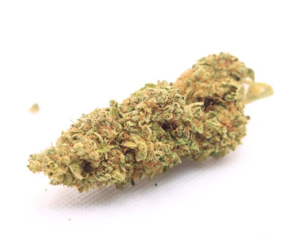 Cogollos CBD Variedad Limoncillo CBD